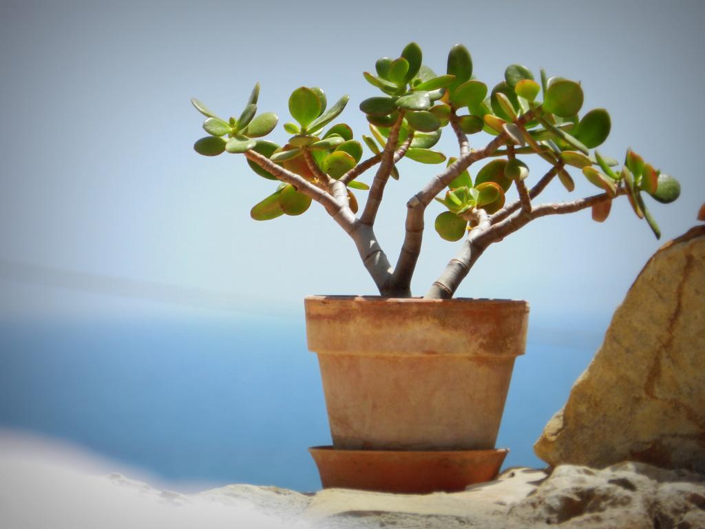 Appartamento Don Nino Lido di Noto المظهر الخارجي الصورة